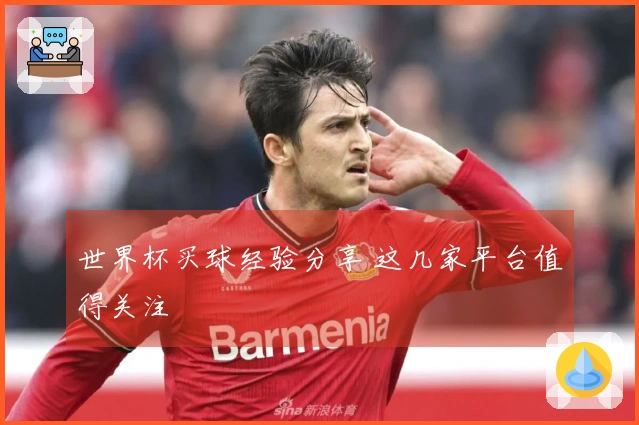 世界杯买球经验分享 这几家平台值得关注