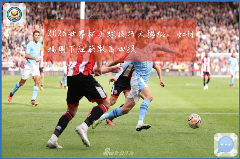 2026世界杯买球技巧大揭秘，如何精明下注获取高回报