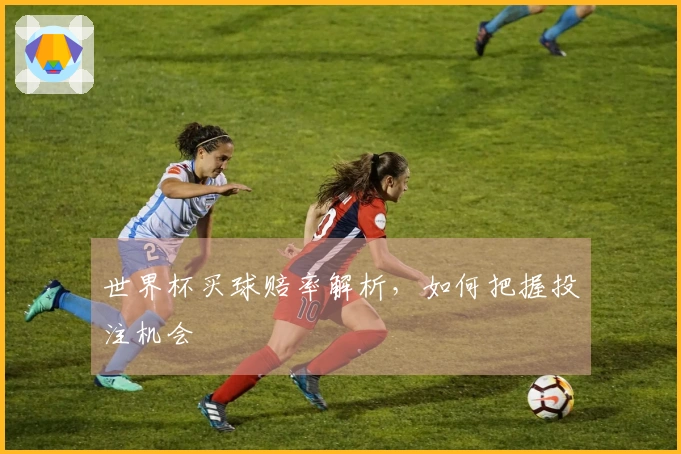 世界杯买球赔率解析，如何把握投注机会