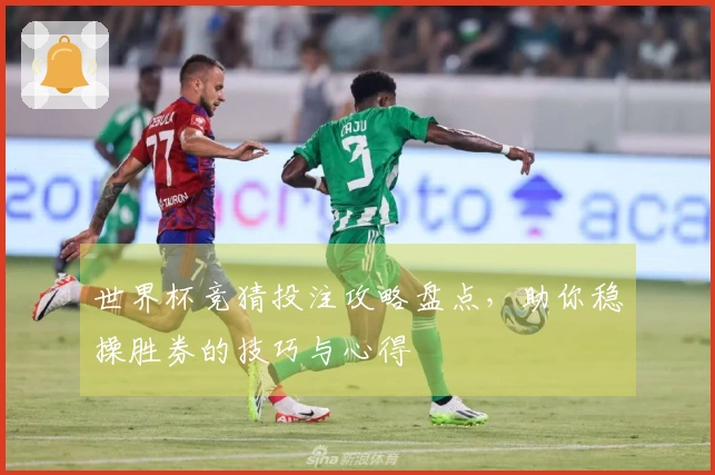 世界杯竞猜投注攻略盘点，助你稳操胜券的技巧与心得