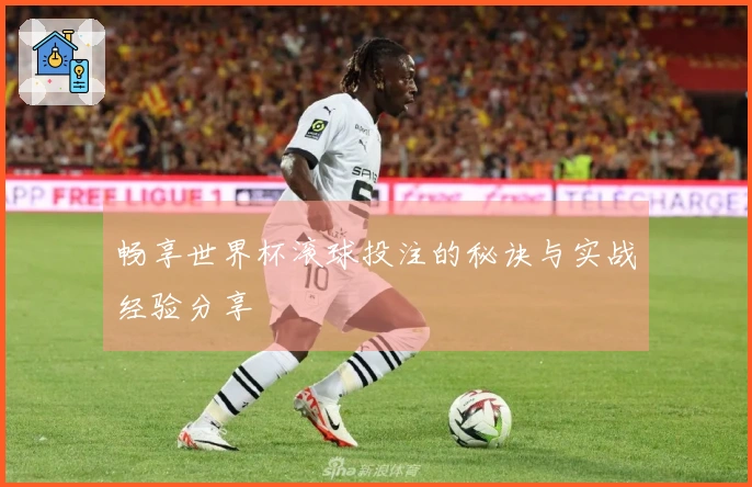 畅享世界杯滚球投注的秘诀与实战经验分享