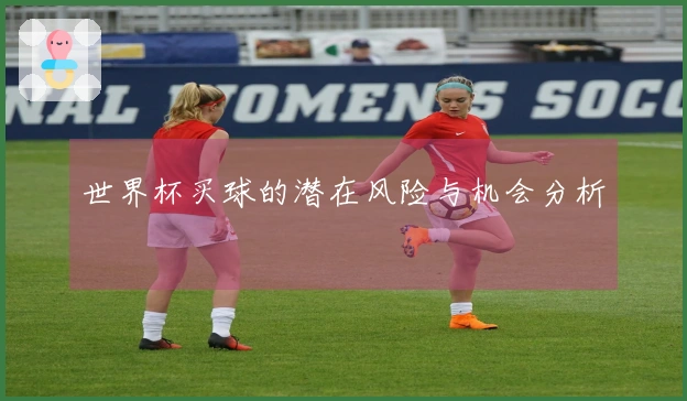 世界杯买球的潜在风险与机会分析