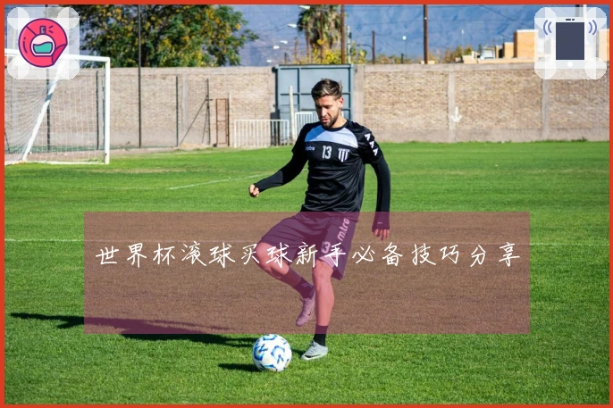 世界杯滚球买球新手必备技巧分享
