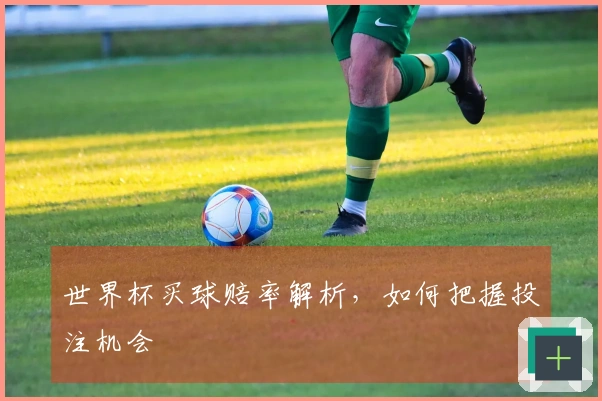 世界杯买球赔率解析，如何把握投注机会