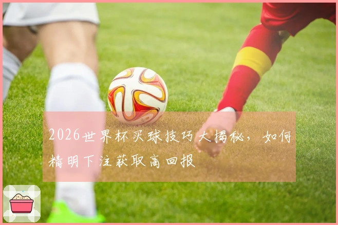 2026世界杯买球技巧大揭秘，如何精明下注获取高回报