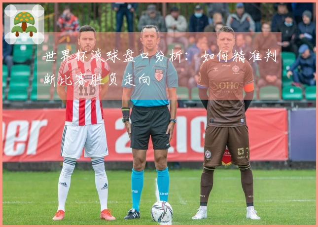 世界杯滚球盘口分析：如何精准判断比赛胜负走向