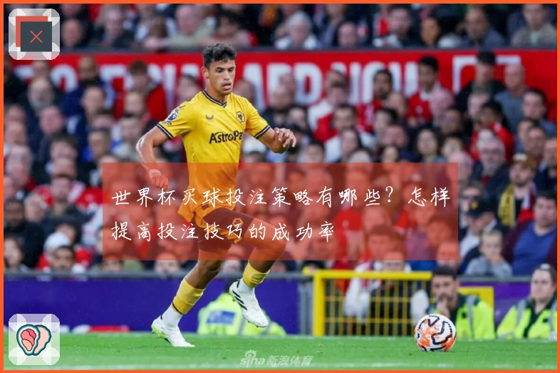 世界杯买球投注策略有哪些？怎样提高投注技巧的成功率