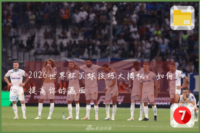 2026世界杯买球技巧大揭秘，如何提高你的赢面