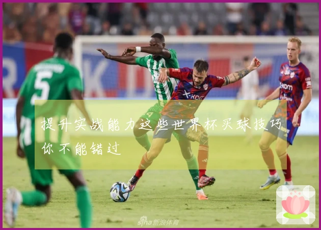 提升实战能力这些世界杯买球技巧你不能错过