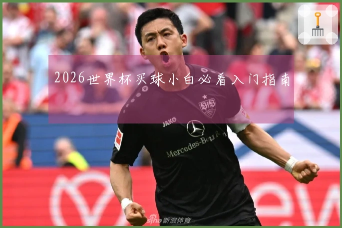2026世界杯买球小白必看入门指南