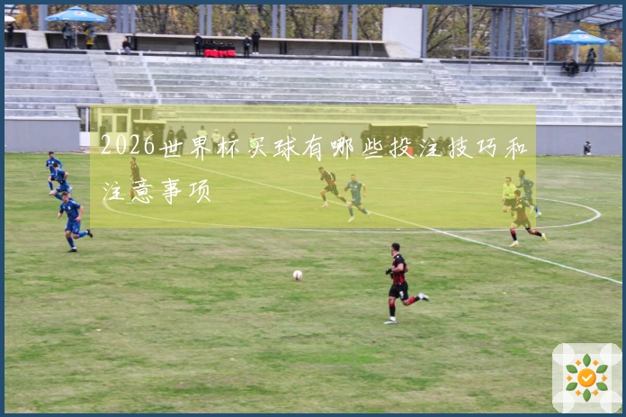 2026世界杯买球有哪些投注技巧和注意事项