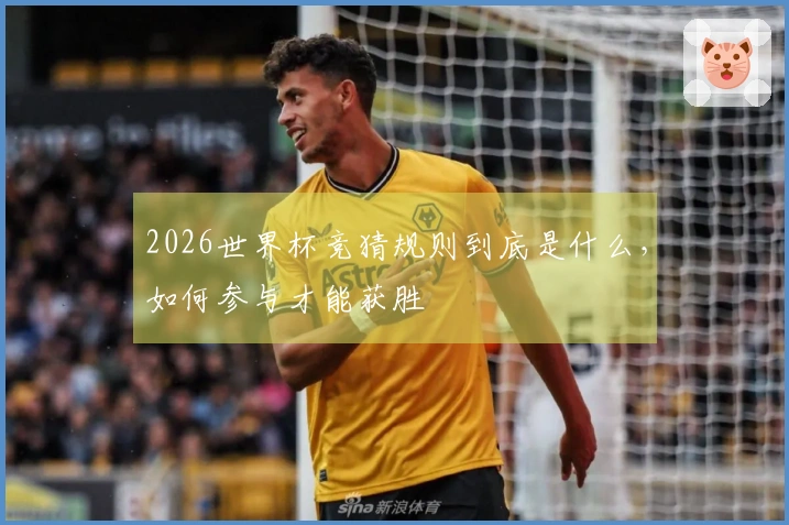 2026世界杯竞猜规则到底是什么，如何参与才能获胜