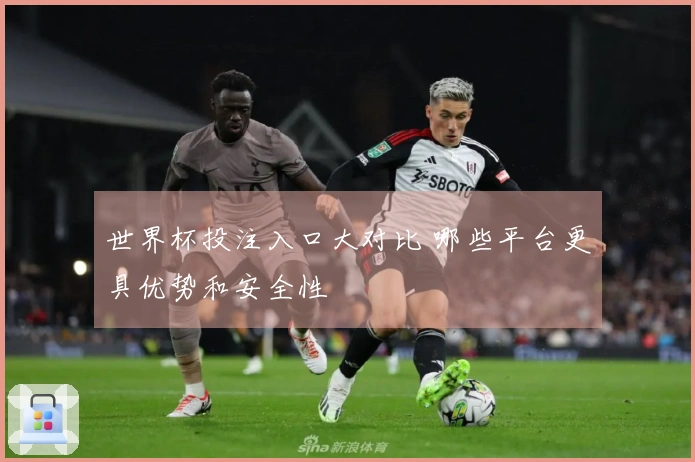 世界杯投注入口大对比 哪些平台更具优势和安全性