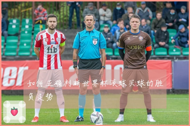 如何正确判断世界杯滚球买球的胜负走势